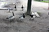 IMG_8036.jpg