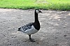 IMG_8041.jpg