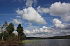 IMG_8096.jpg
