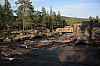 IMG_8133.jpg