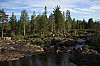 IMG_8134.jpg