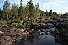 IMG_8135.jpg