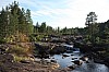 IMG_8136.jpg