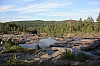 IMG_8137.jpg