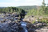IMG_8141.jpg