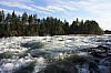 IMG_8145.jpg
