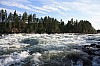 IMG_8150.jpg