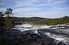 IMG_8155.jpg