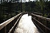 IMG_8161.jpg