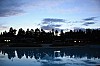 IMG_8180.jpg