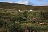 IMG_8267.jpg