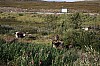 IMG_8269.jpg