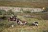IMG_8272.jpg
