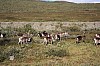 IMG_8279.jpg