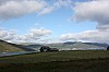IMG_8286.jpg
