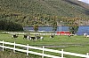 IMG_8287.jpg