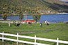 IMG_8288.jpg