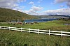 IMG_8294.jpg