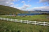 IMG_8295.jpg