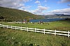 IMG_8296.jpg