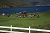 IMG_8297.jpg