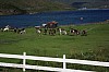 IMG_8299.jpg