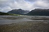 IMG_8318.jpg