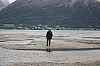 IMG_8323.jpg