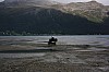 IMG_8336.jpg