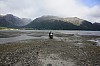 IMG_8338.jpg