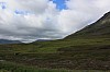 IMG_8406.jpg