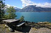 IMG_8462.jpg