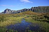 IMG_8613.jpg