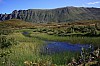 IMG_8635.jpg
