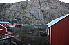 IMG_8678.jpg