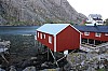 IMG_8687.jpg