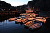 IMG_8800.jpg