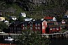 IMG_8883.jpg