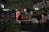 IMG_8885.jpg