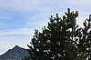 IMG_8975.jpg