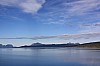 IMG_8979.jpg