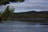 IMG_8986.jpg