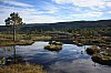 IMG_8993.jpg