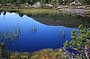 IMG_8999.jpg