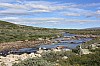 IMG_9009.jpg