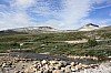 IMG_9013.jpg