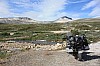 IMG_9015.jpg
