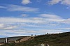 IMG_9024.jpg