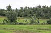 IMG_9028.jpg