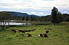 IMG_9075.jpg